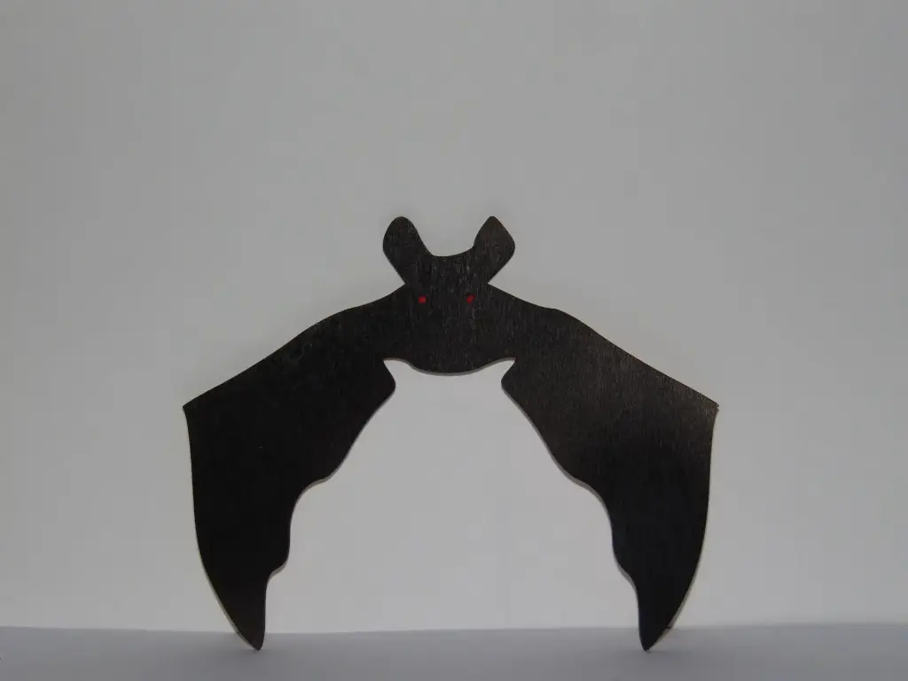 Chauve souris 5