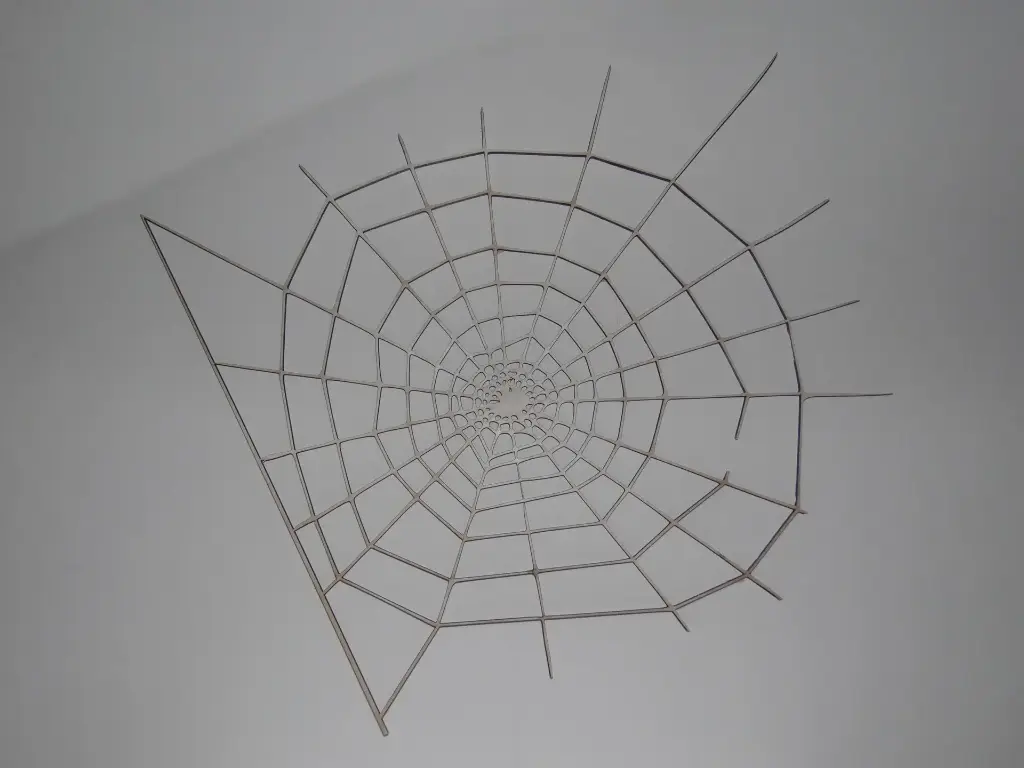 Toile d'araignée
