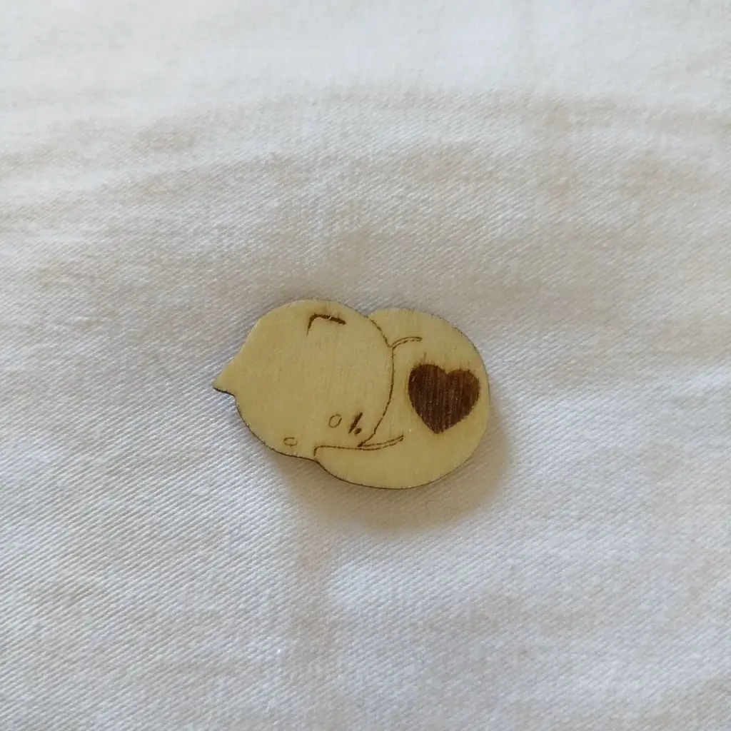 Pins chat 2