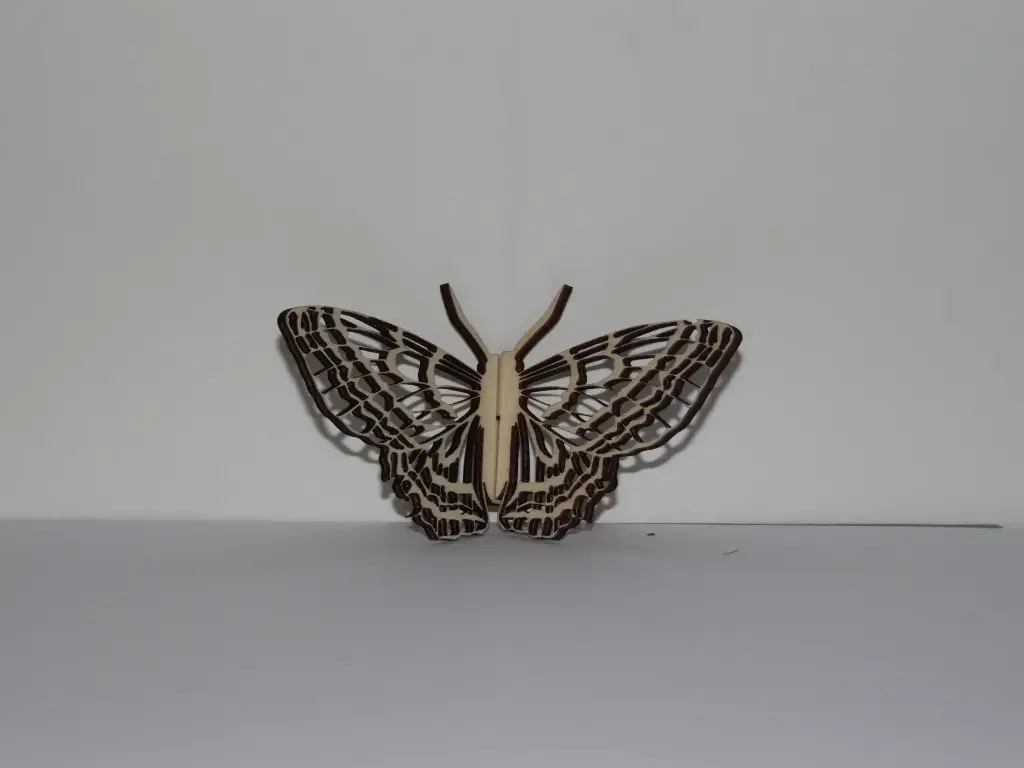 Papillon 2