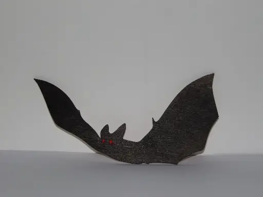Chauve souris 6